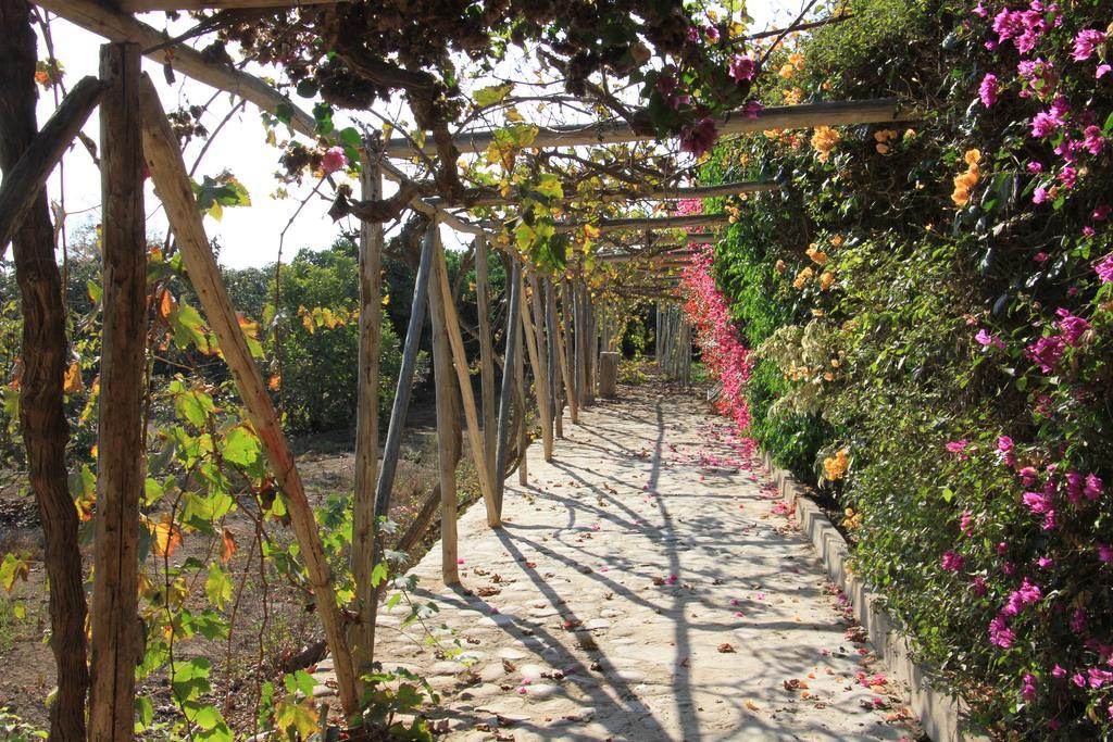 Huaranjapo Bed & Breakfast El Carmen Exterior photo